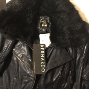NOT FOR SALE Bernardo Moto Leather Jacket